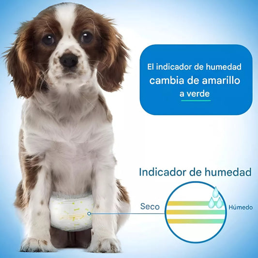 36 Pañales Para Perros o Gatos